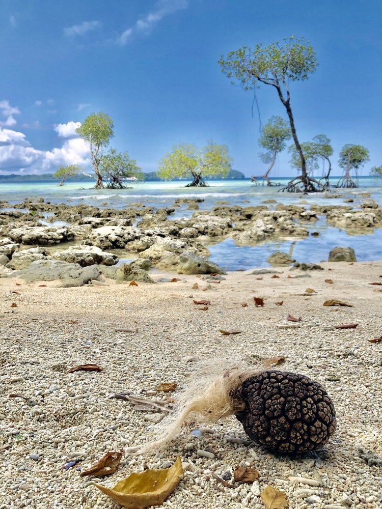 Photograph by Евгения Тимощенко