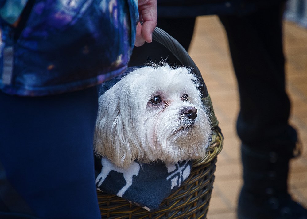 Photograph by Normunds Kaprano