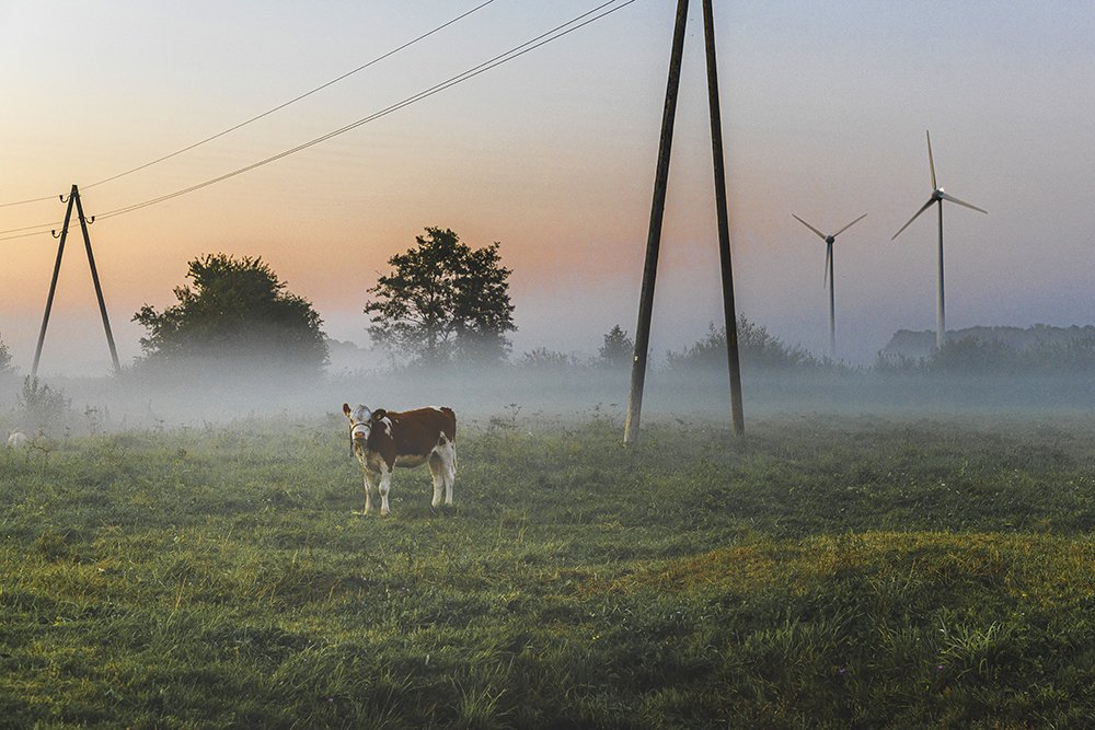 Photograph by Normunds Kaprano