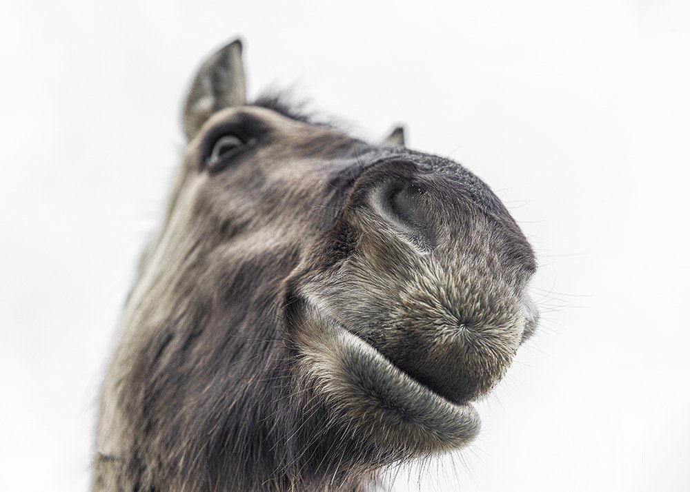 Photograph by Normunds Kaprano