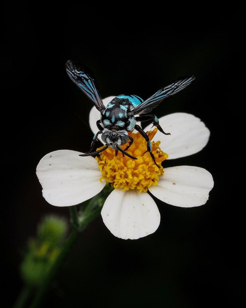 Photograph by Endra Agust