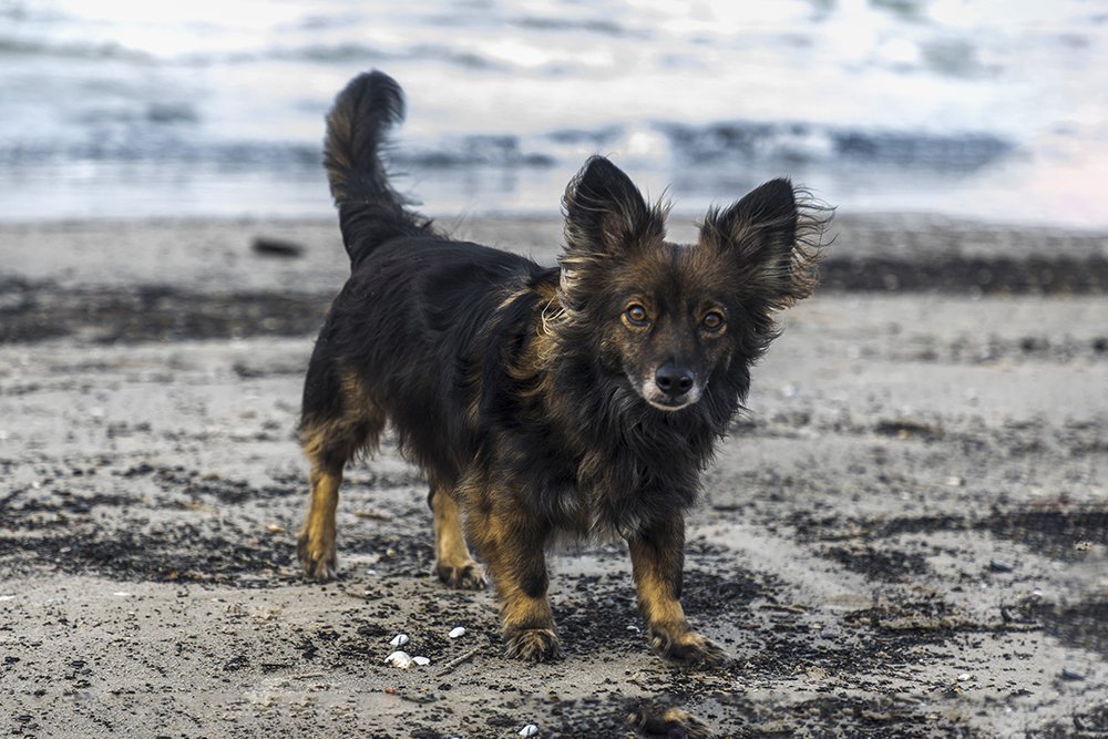 Photograph by Normunds Kaprano