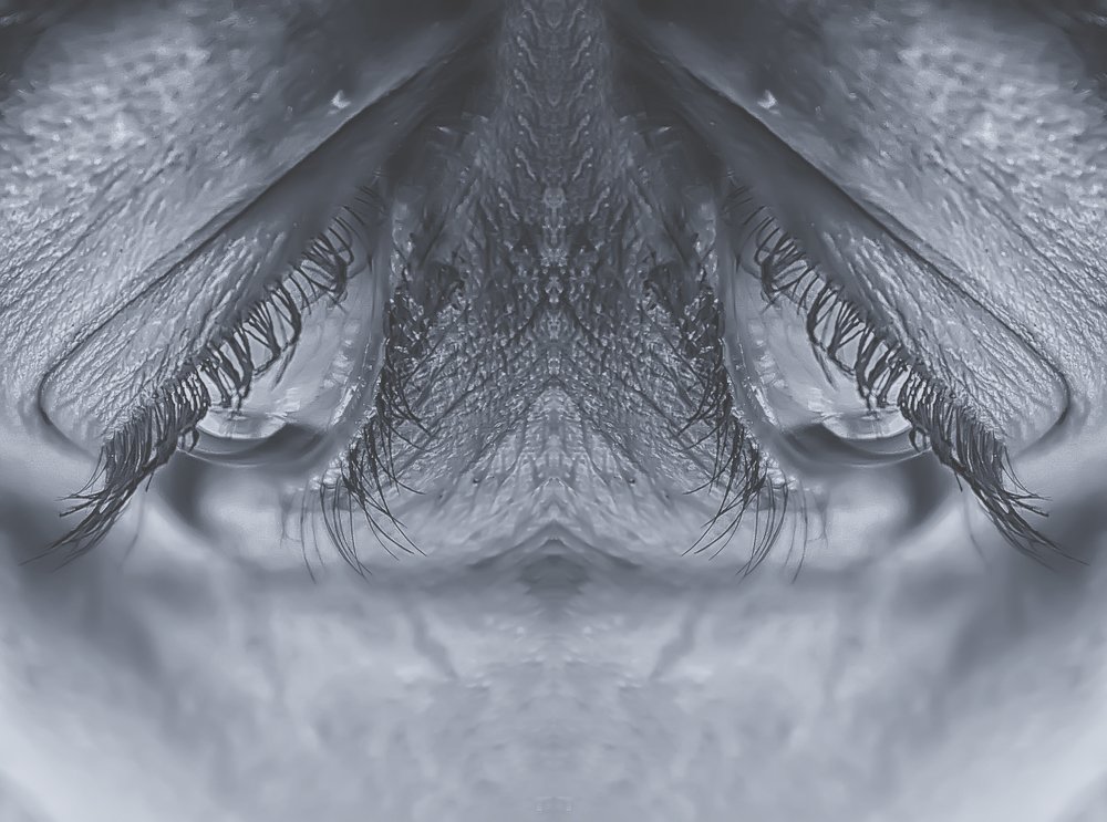 Фотография автора Anil Prabhakar