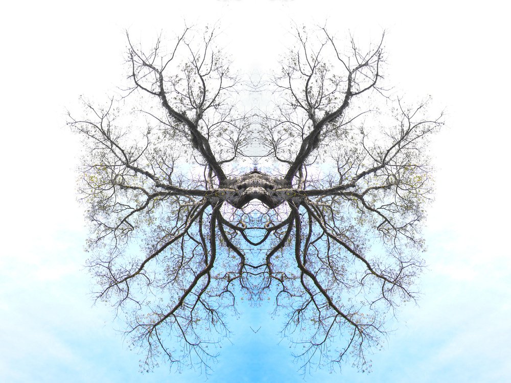 Фотография автора Anil Prabhakar