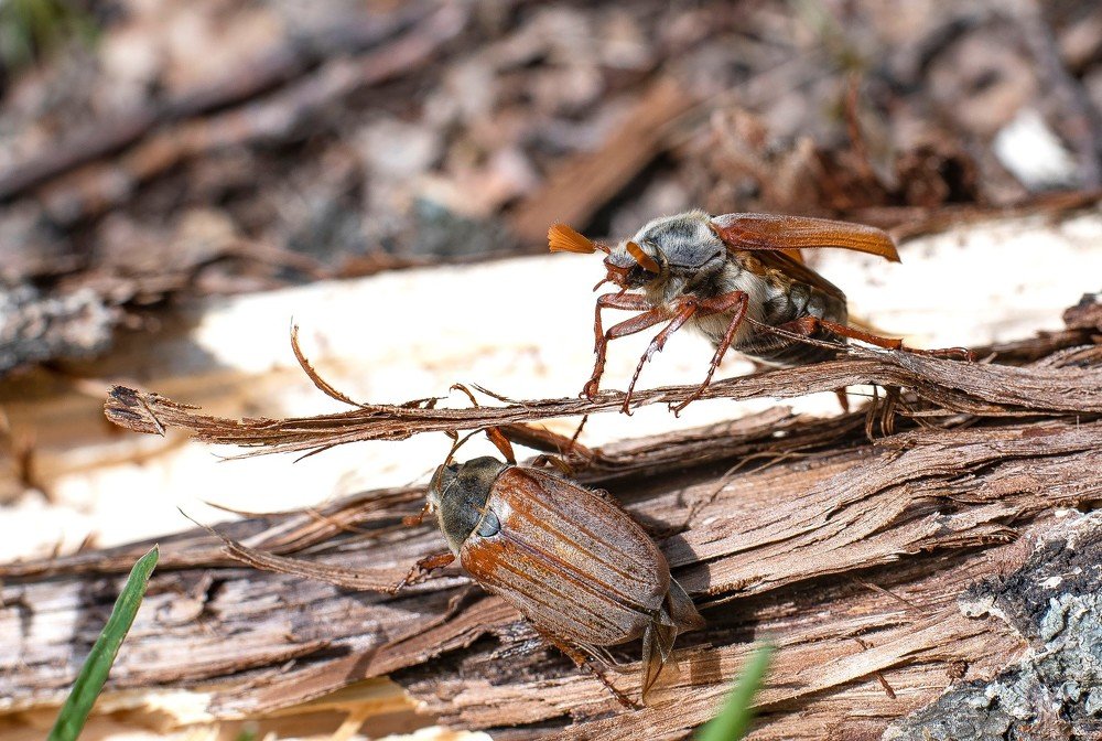 Photograph by Алексей Сиваков