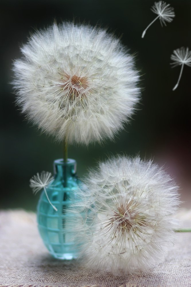 Photograph by Наталия Майская