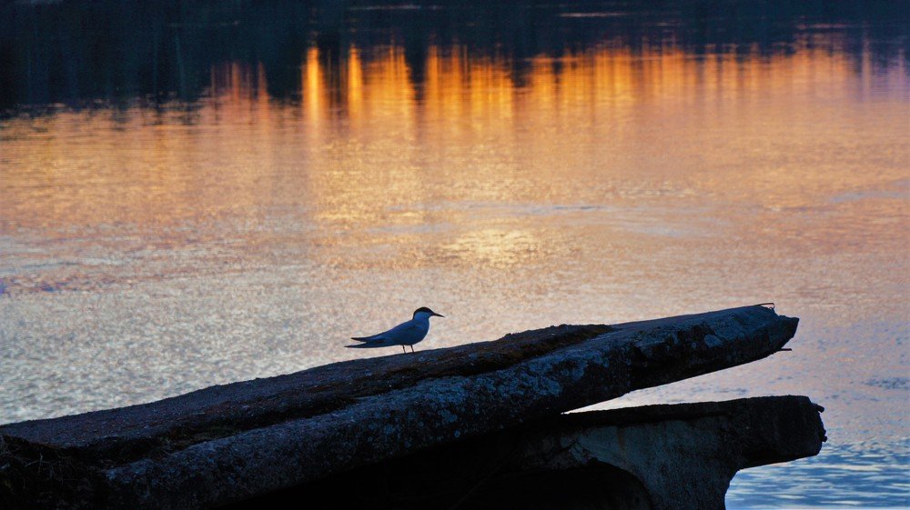 Photograph by Екатерина Апрелева