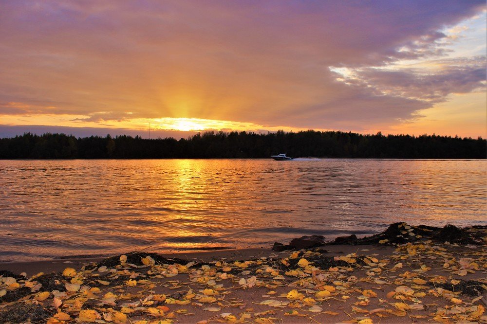 Photograph by Екатерина Апрелева