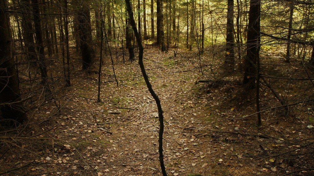 Photograph by Екатерина Апрелева