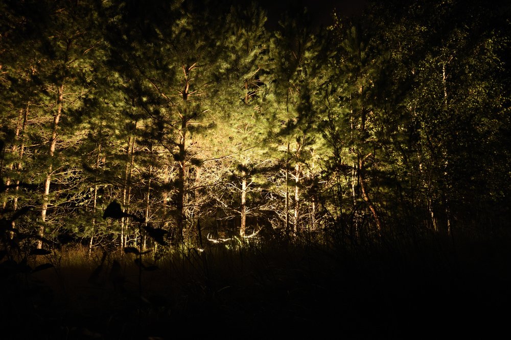 Photograph by Семен Батов