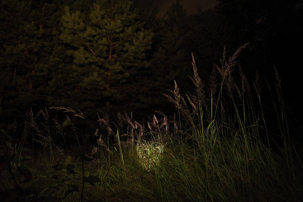 Photograph by Семен Батов