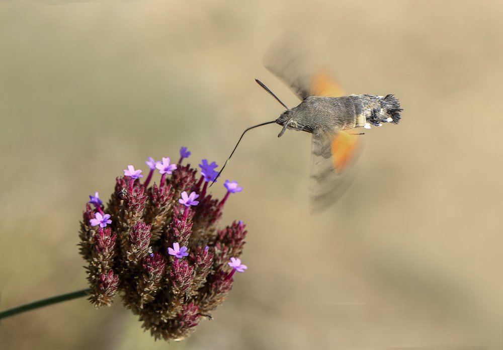 Photograph by Валерий Басыров