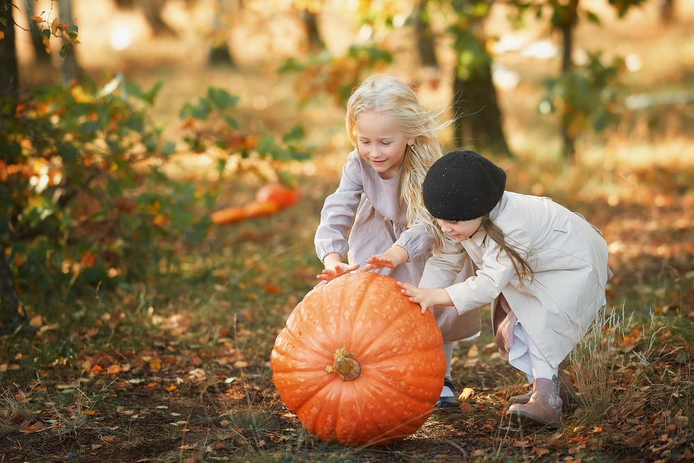 Photograph by Ольга Мандрик