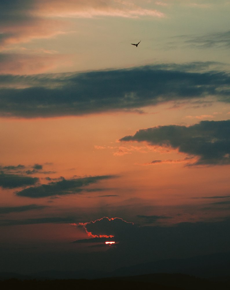 Photograph by Jana Vukomanovic