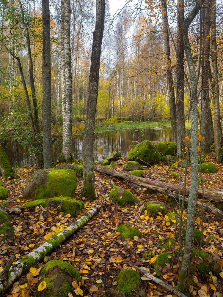 Photograph by Мария Милюхина