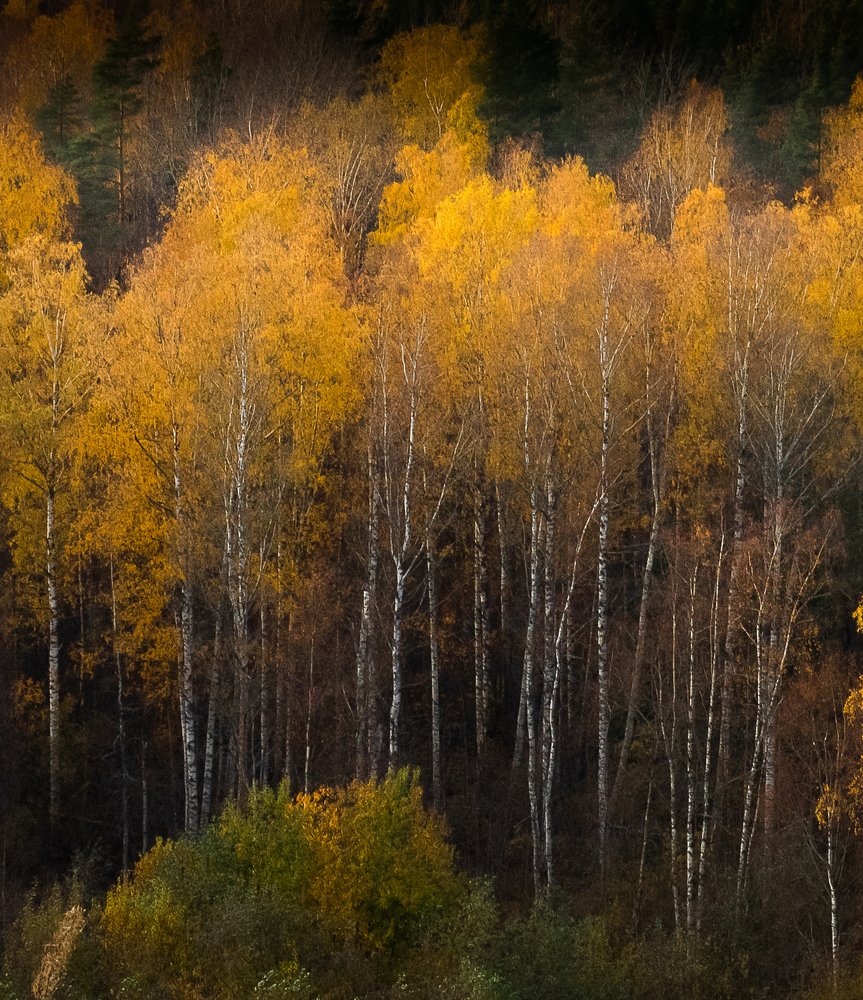 Photograph by Мария Милюхина