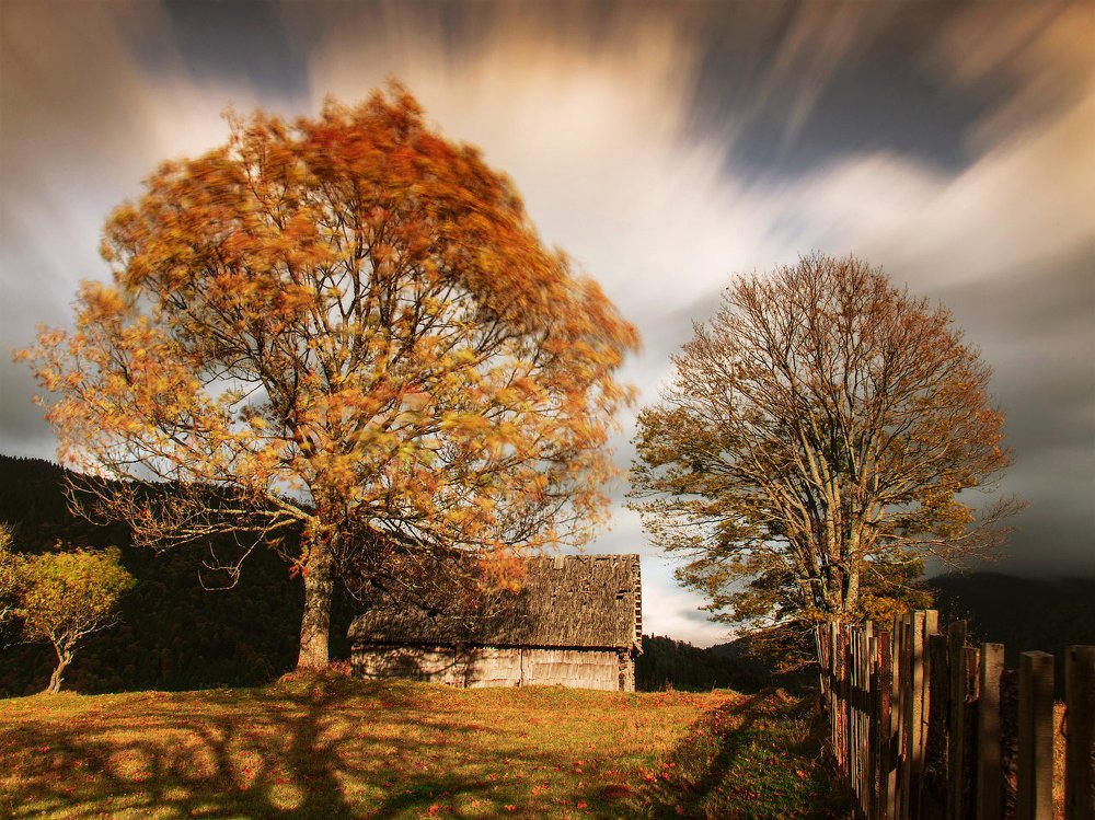 Photograph by Aeromast