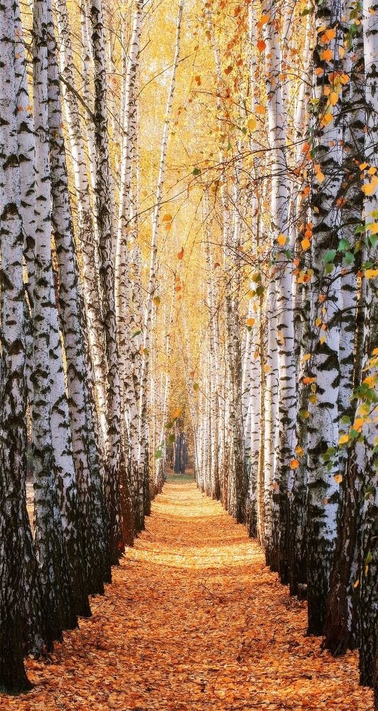 Photograph by Aeromast