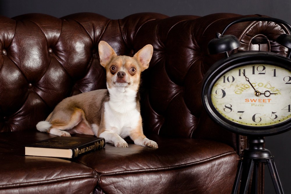 Photograph by Julia Borska