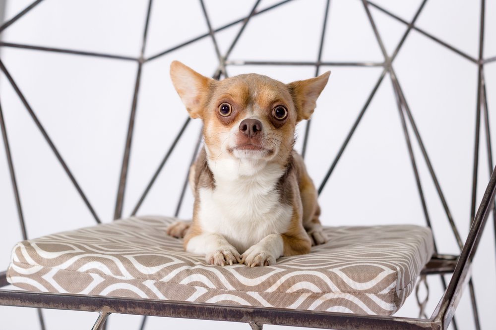 Photograph by Julia Borska