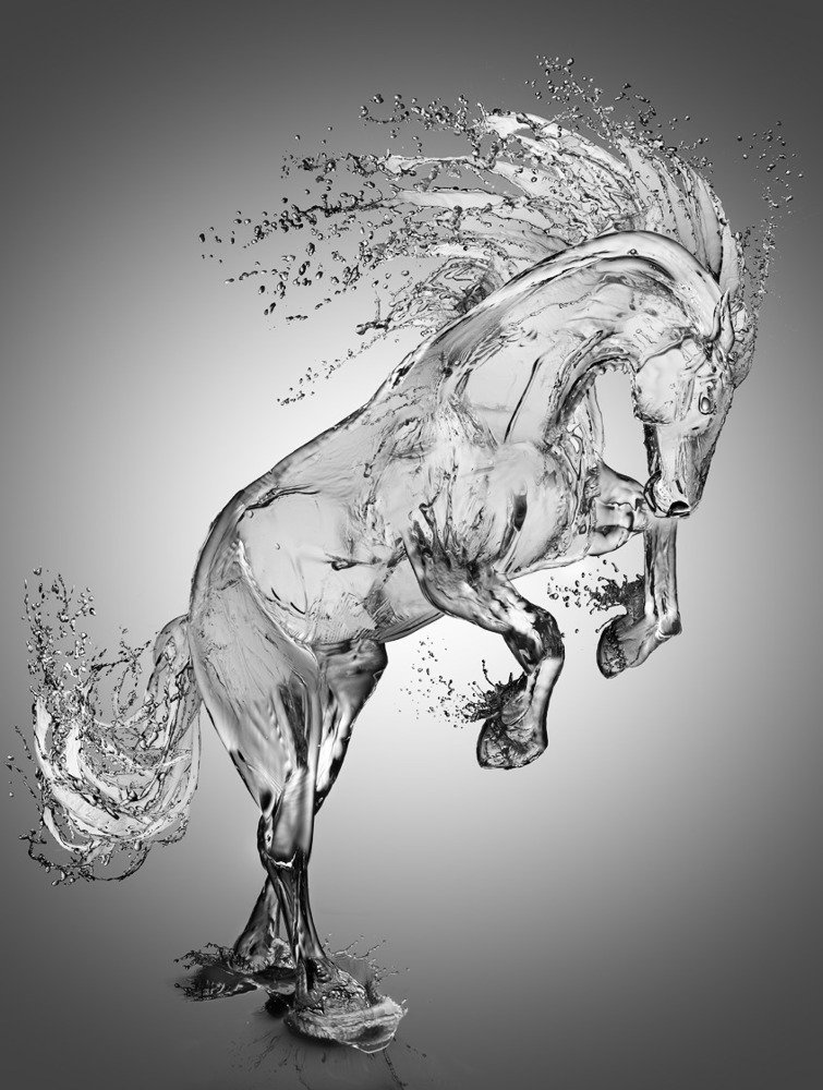 Фотография автора Игорь Железняк