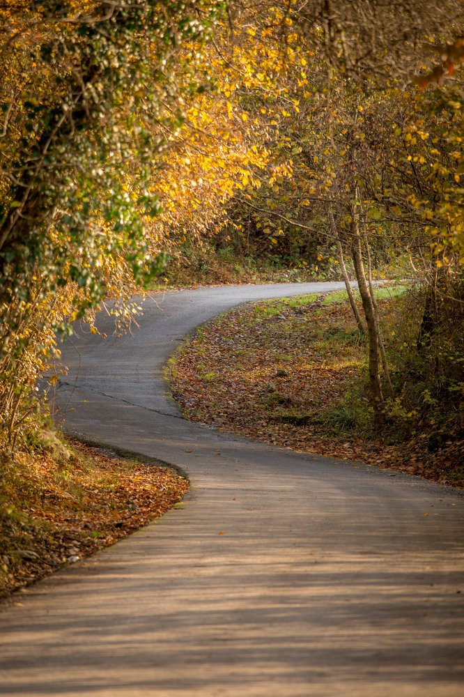 Photograph by Евгения Бочарова
