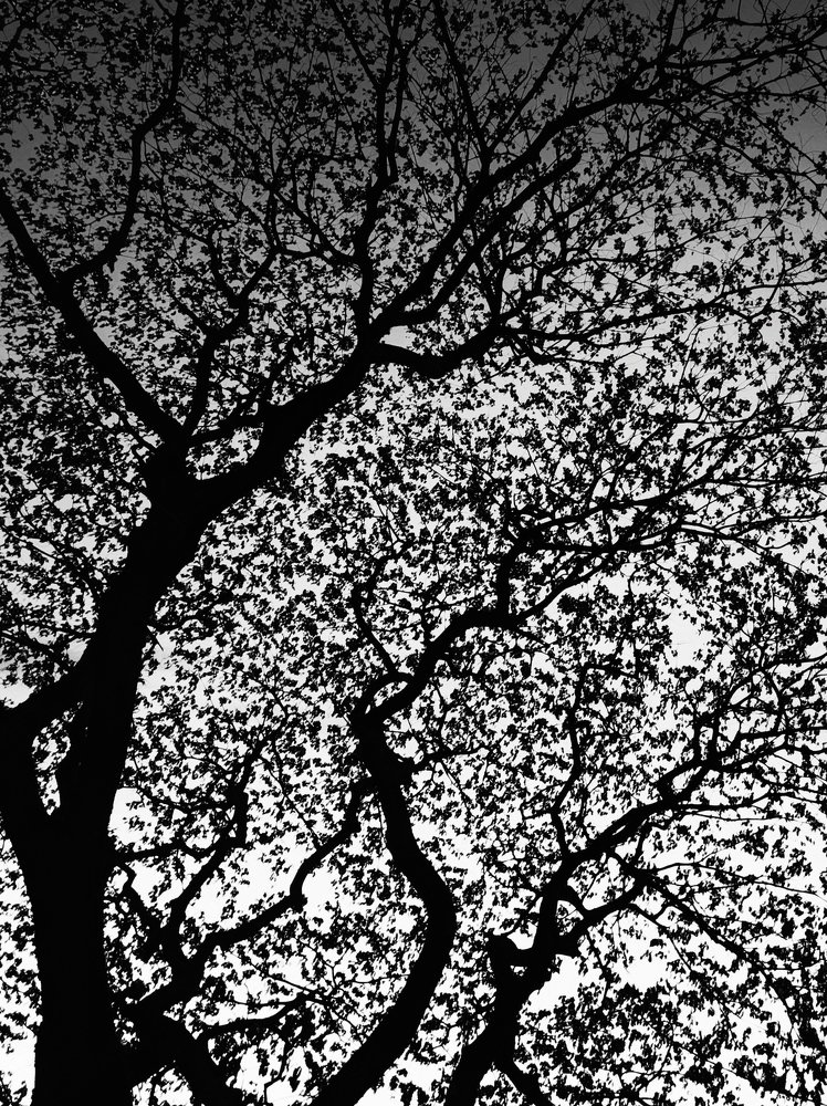 Photograph by Andres Entuna