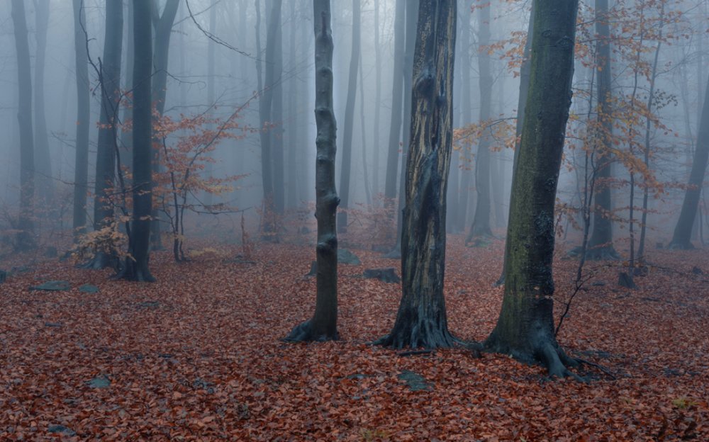 Photograph by Tomasz Myśliński