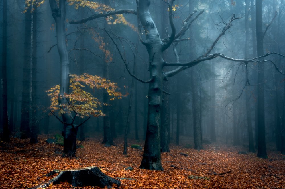 Photograph by Tomasz Myśliński