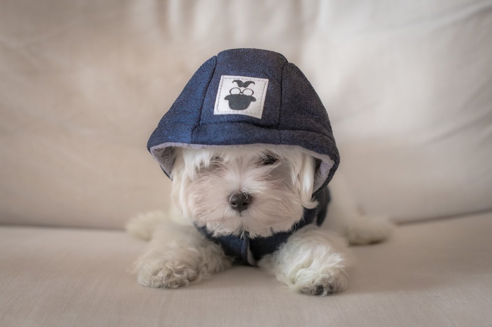 Фотография автора Sergio Agro