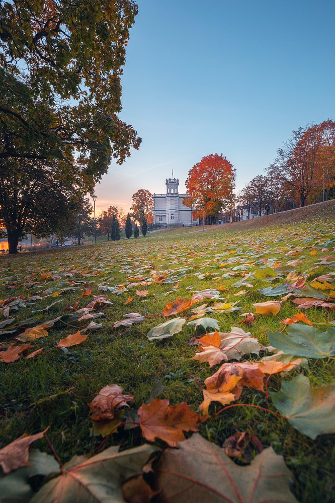 Photograph by Ignas Lazauskas