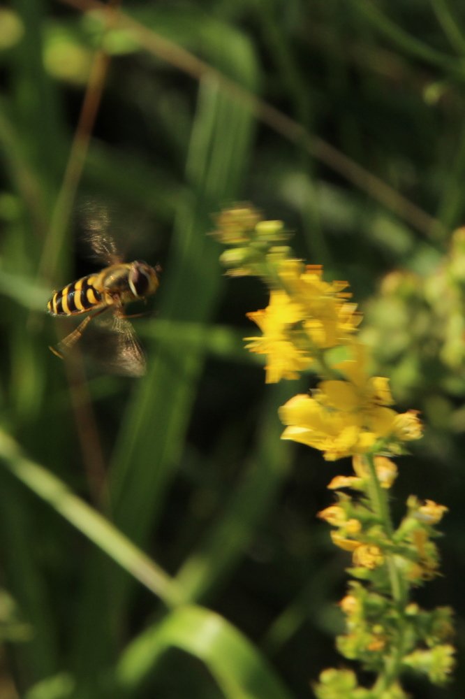 Photograph by Илья Беликов