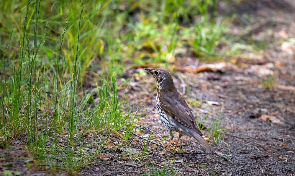 Photograph by Евгения Бочарова