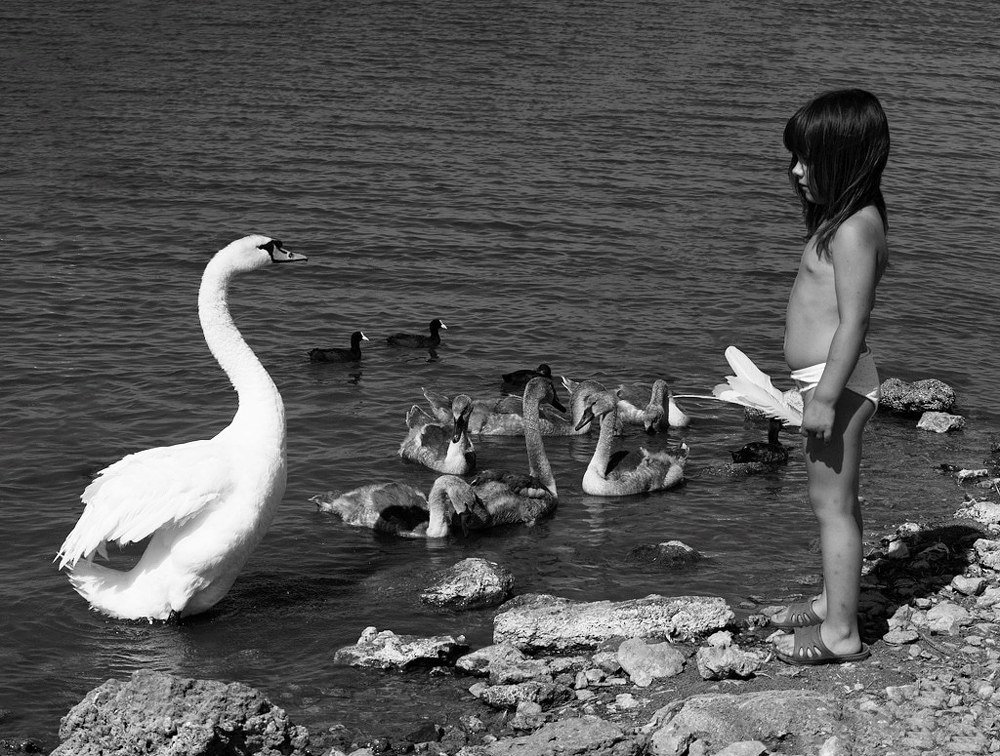 Фотография автора Елена Бурцева