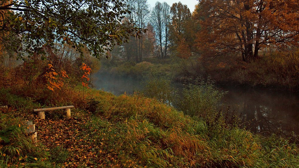 Утро на Десне