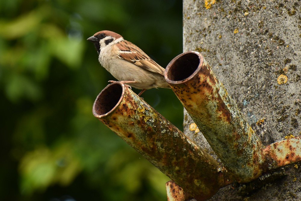 Photograph by Валерий Талейко