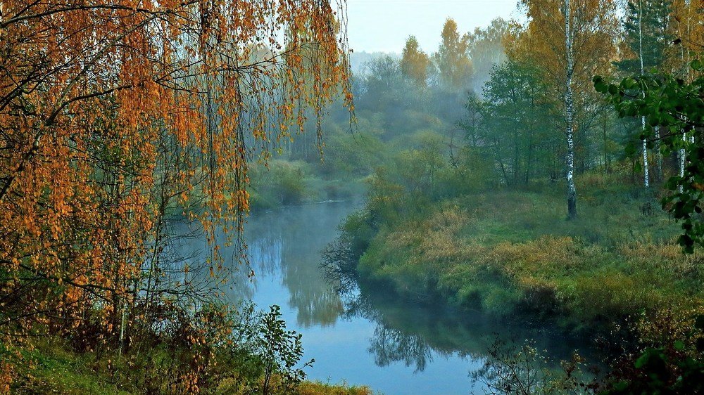 Десна осенняя