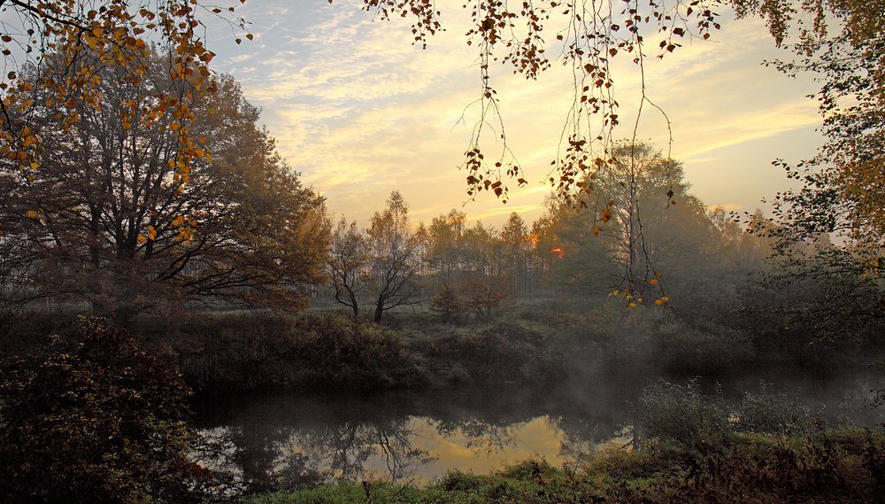 Рассвет на Десне