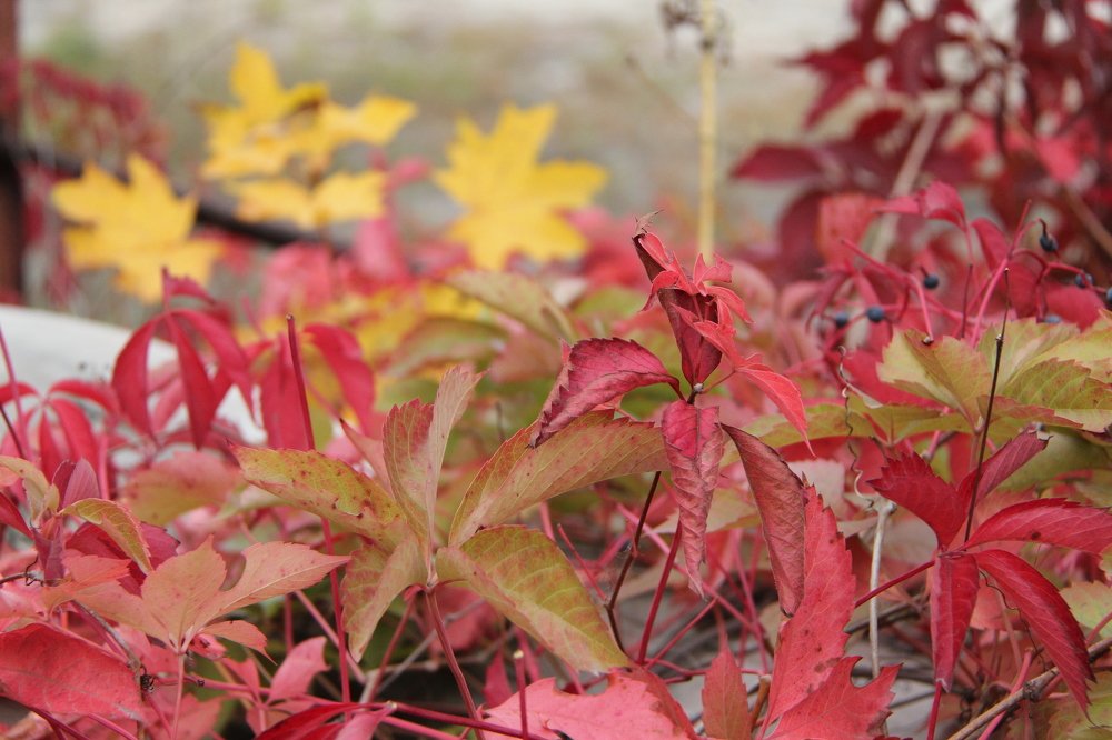 Photograph by иван антоненко