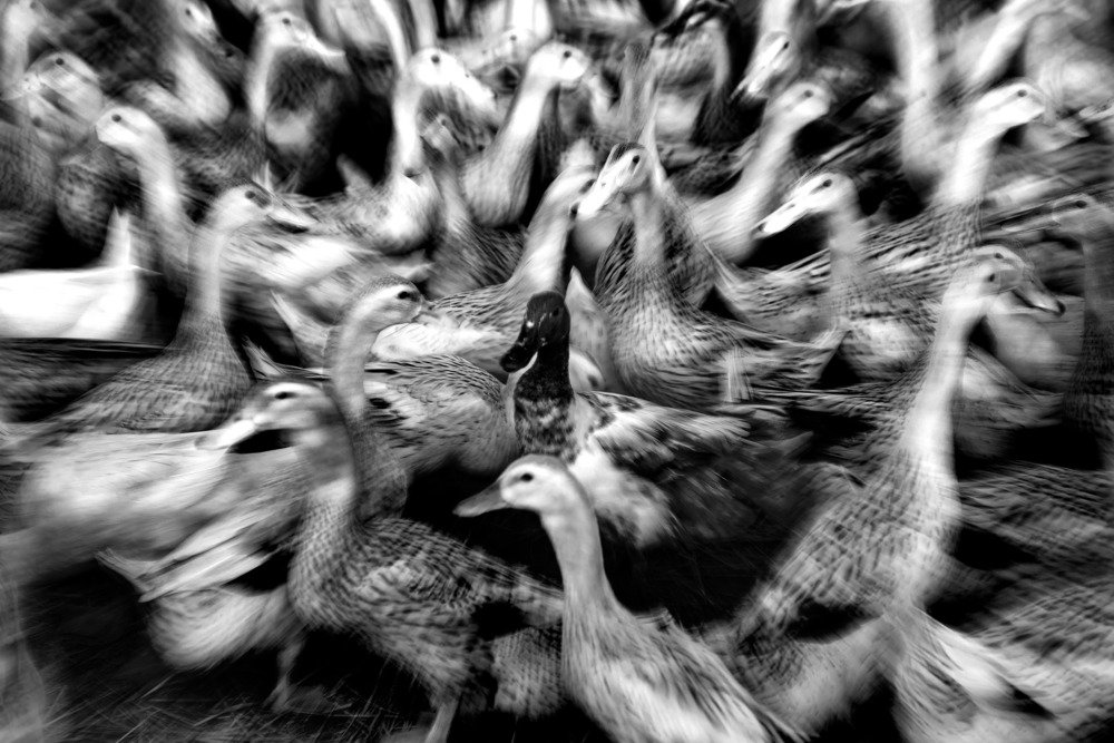 Photograph by Channal Sean