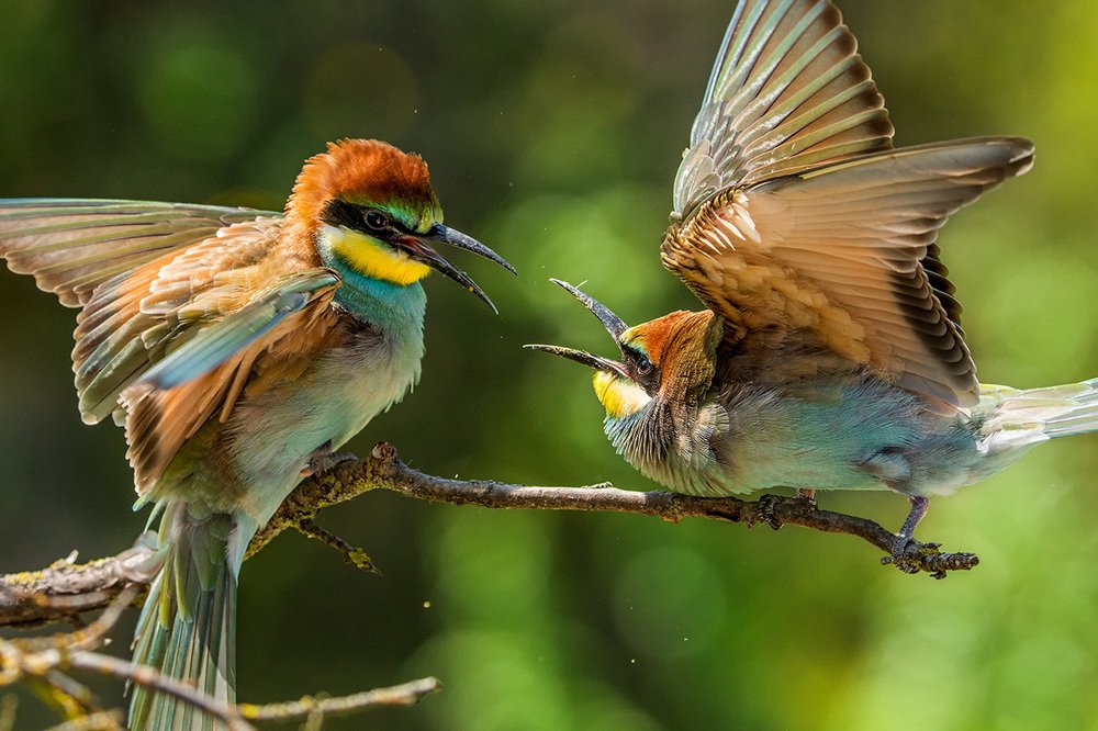 Photograph by Сергей Быстрицкий