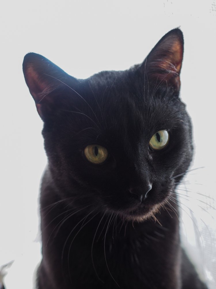 Photograph by Дмитрий Красовский