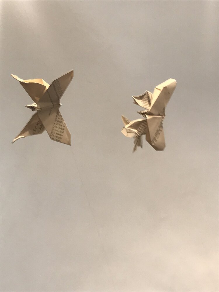 Photograph by Francesca Trafeli