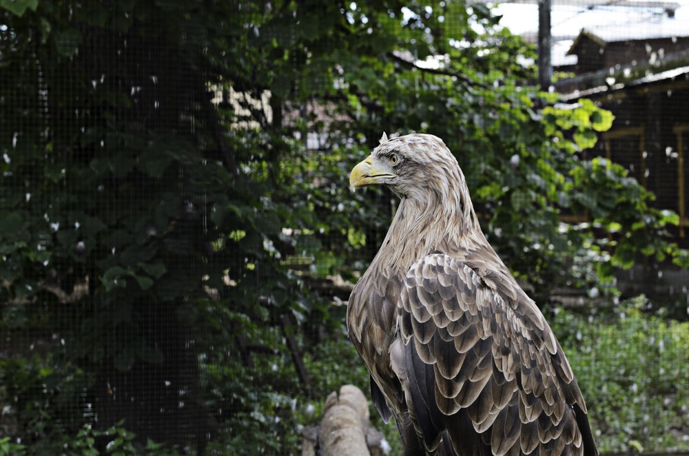 Photograph by Дмитрий Красовский