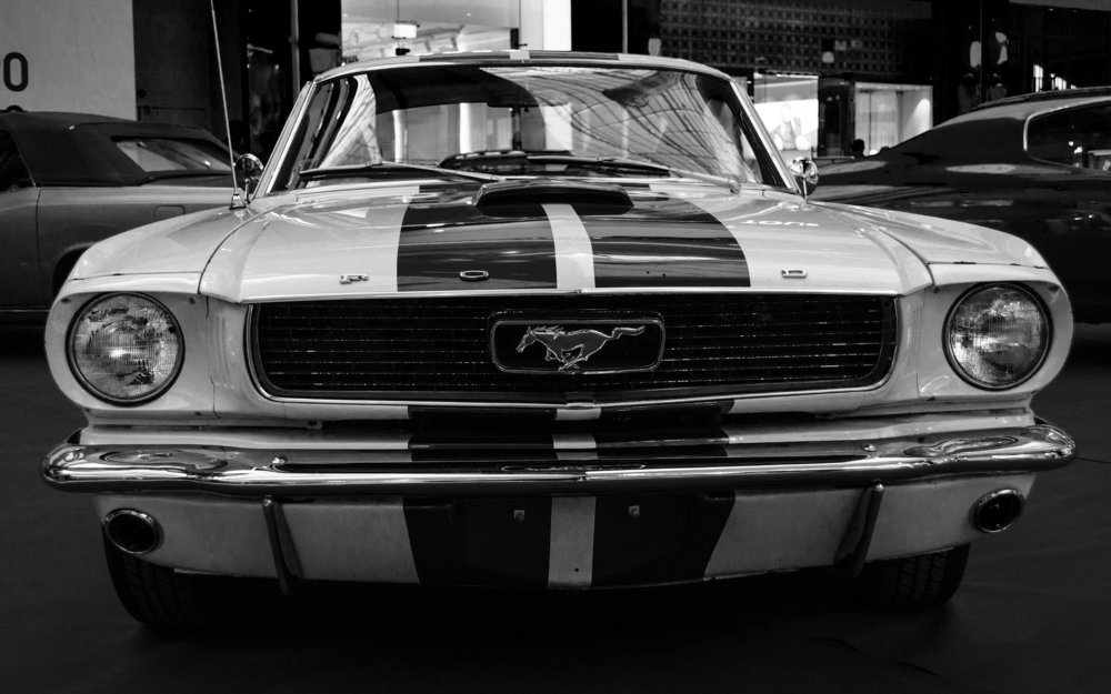 Photograph by Дмитрий Красовский