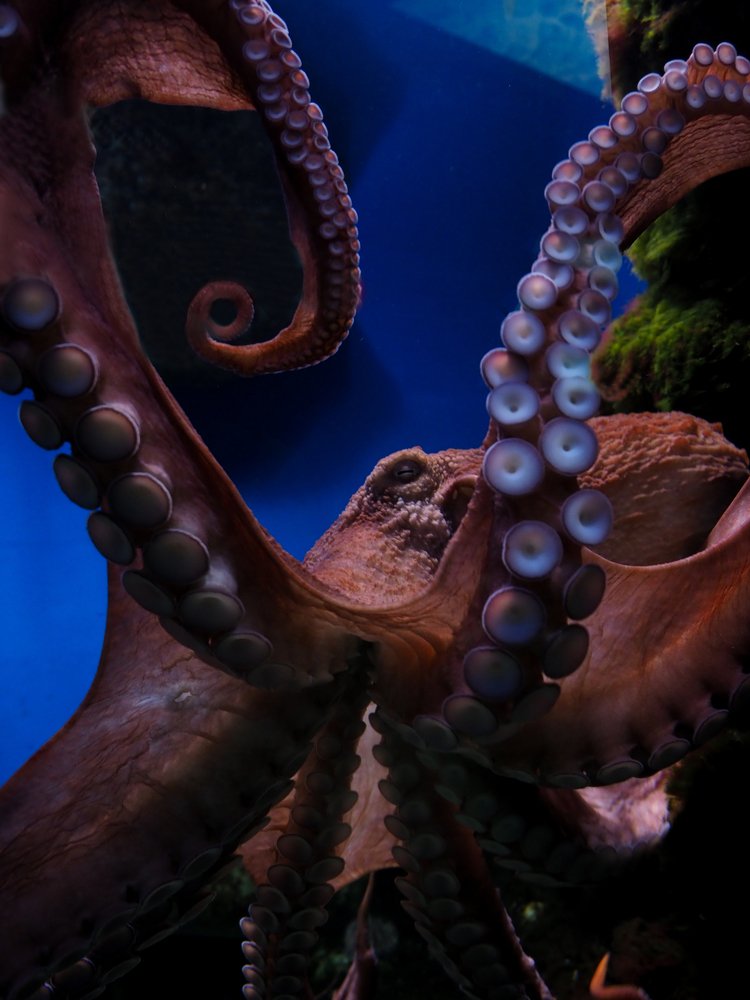 Photograph by Дмитрий Красовский