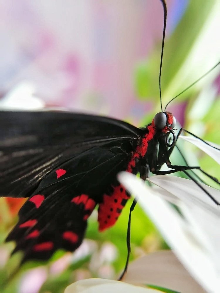 Photograph by Светлана Смирнова