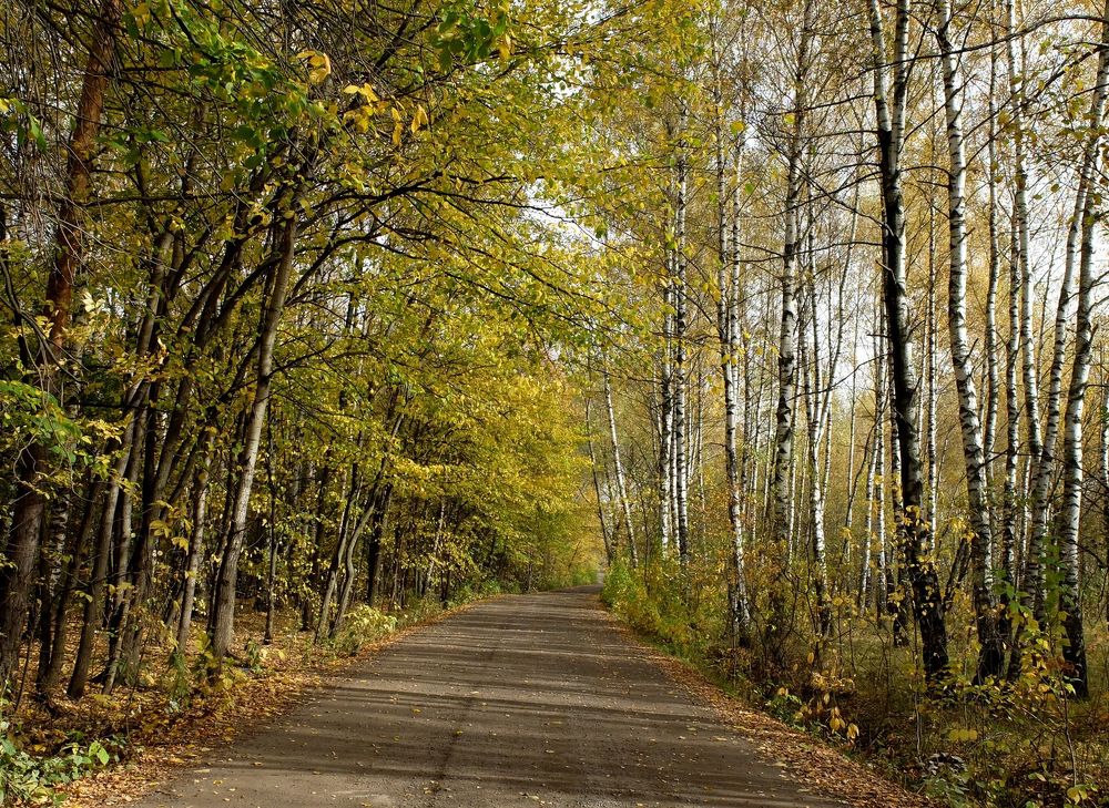 Photograph by Ираида Стародубцева