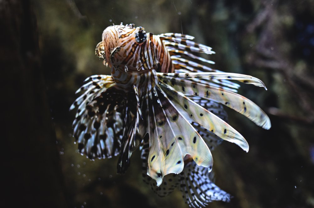 Photograph by Дмитрий Красовский