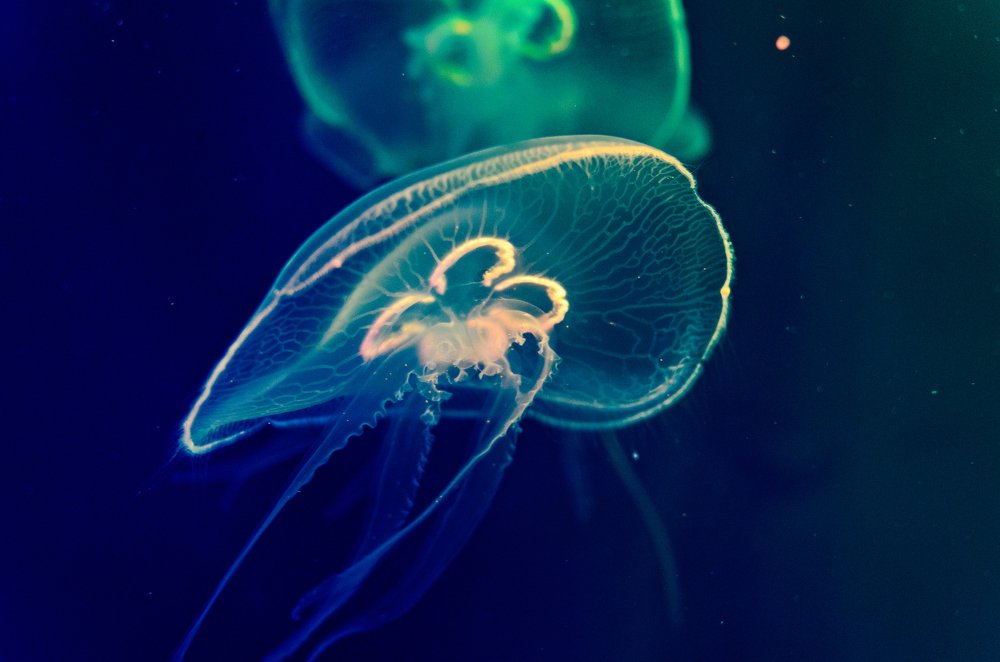 Photograph by Дмитрий Красовский